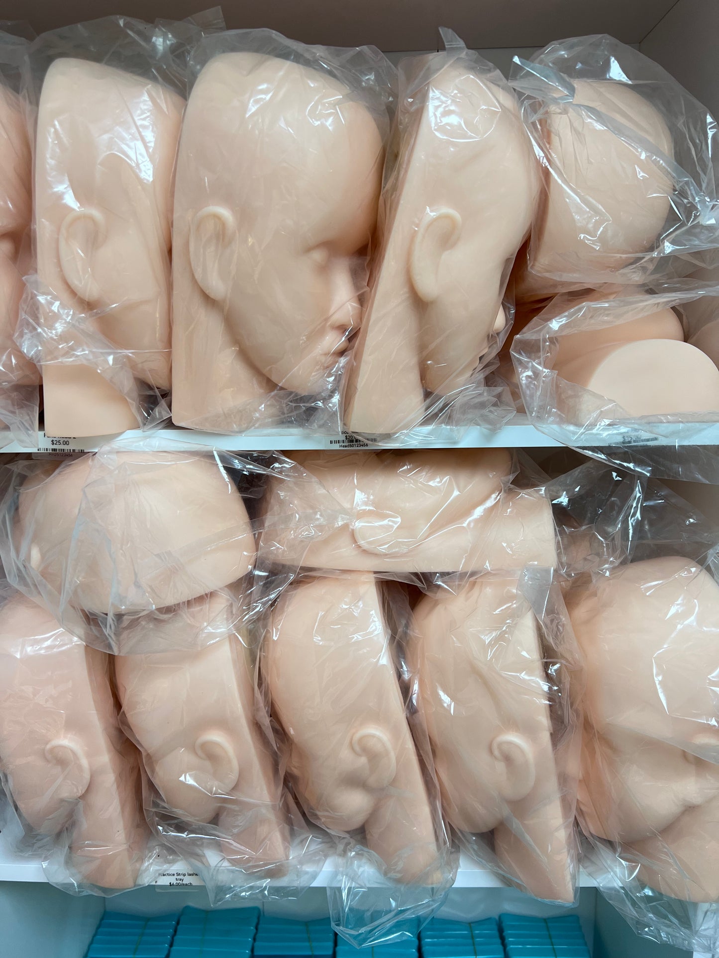 THE FAKE HEAD