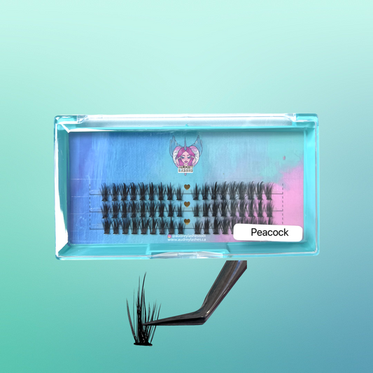 Peacock DIY cluster lashes 3Rows