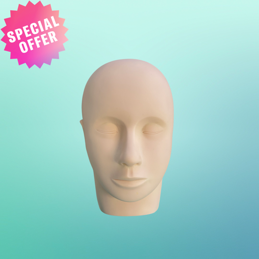 THE FAKE HEAD